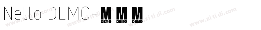 Netto DEMO字体转换